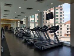 The Central (D1), Office #529169511